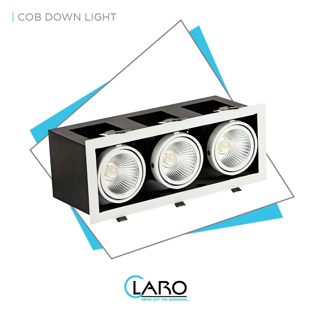 COB Down Light