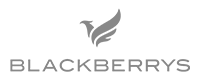 Blackberrys