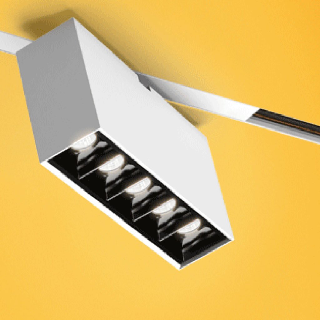 magnetic light