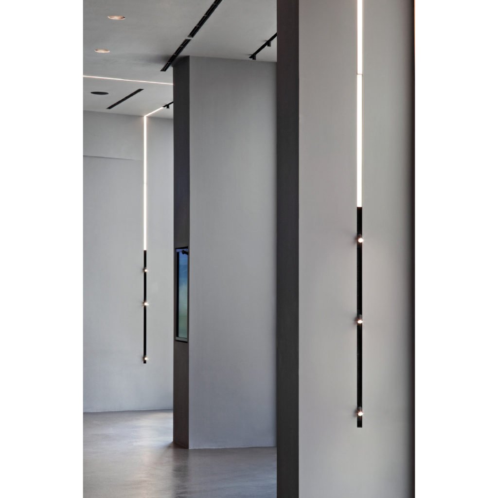 magnetic light