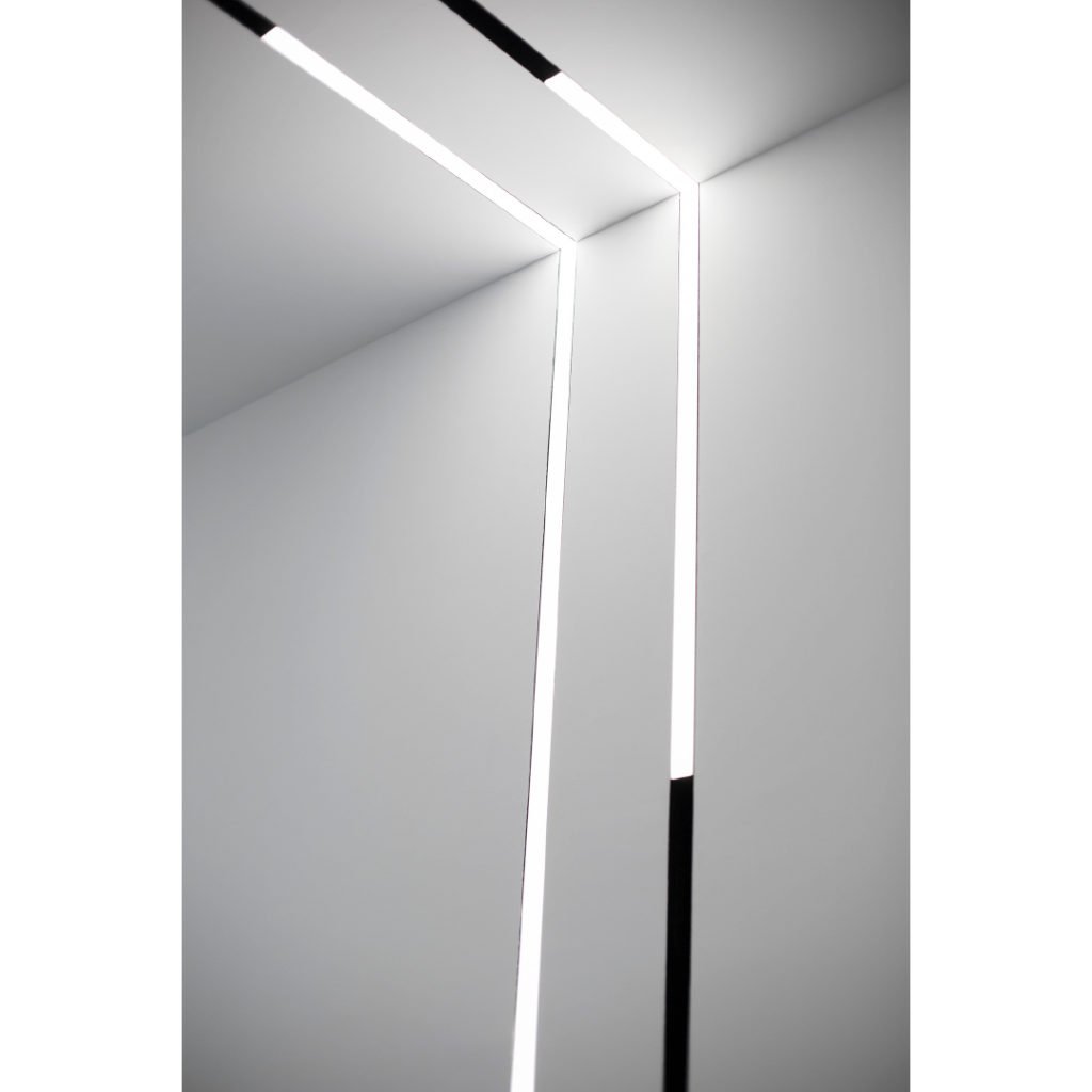 magnetic light