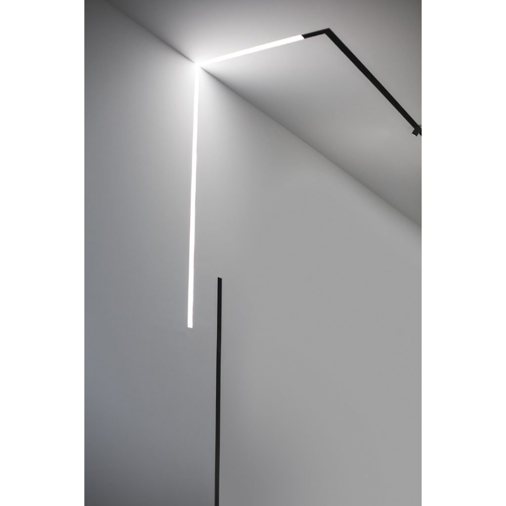 magnetic light