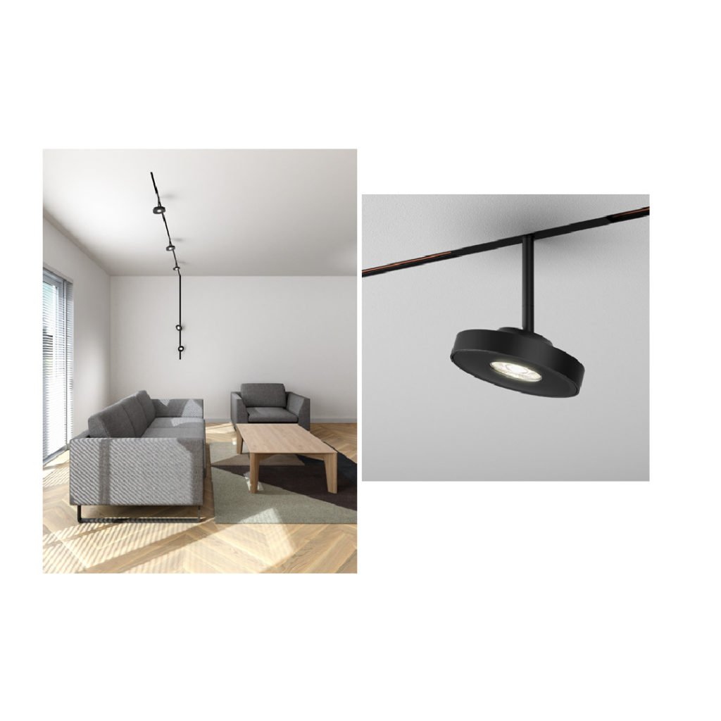 magnetic light