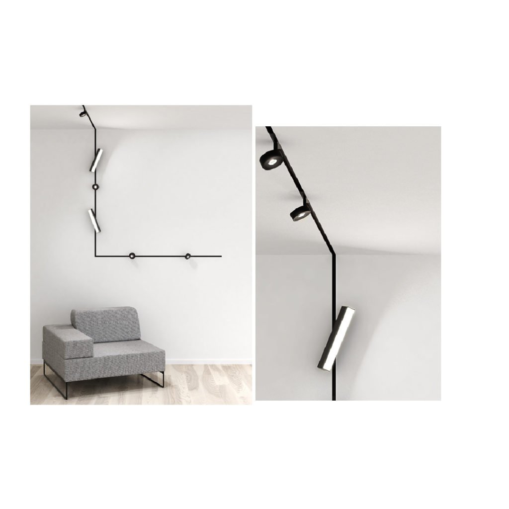 magnetic light