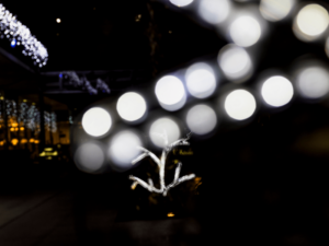 Read more about the article What Type of Outdoor LED Lights Should You Use?